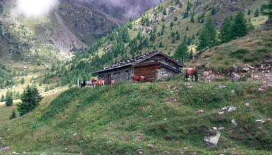 Malga Vesnòta de sóra