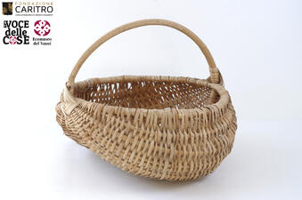 Agricoltura