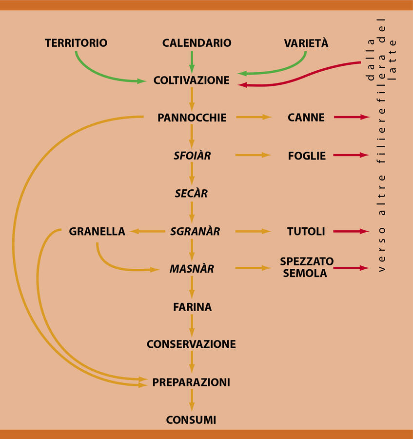 La filiera del sorc