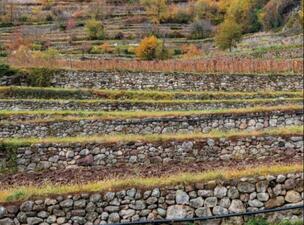 Mostra Paesaggi Terrazzati in Trentino 