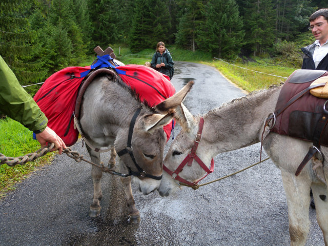 Tour del sentiero etnografico – Speciale trekking someggiato