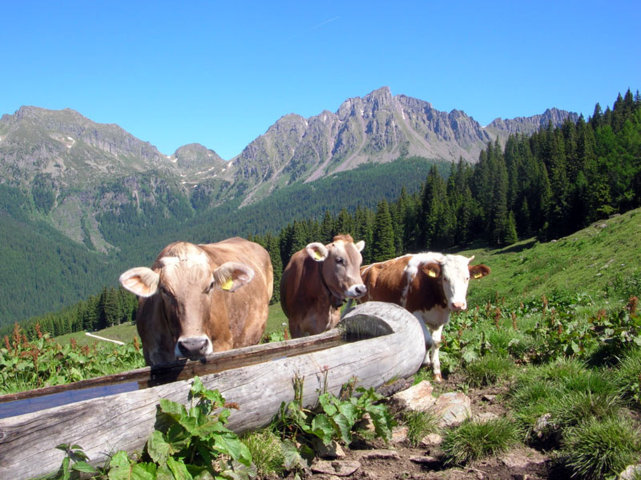 ANDAR PER MALGHE – FOSSERNICA DI FUORI