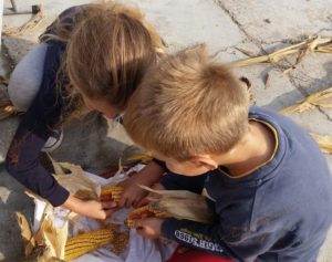 laboratorio per bambini