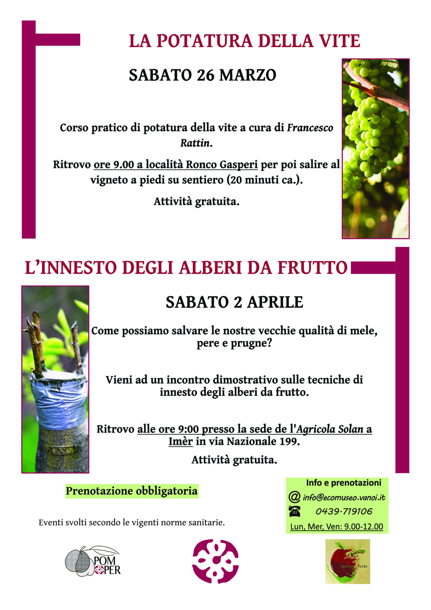 Innesto degli alberi da frutto